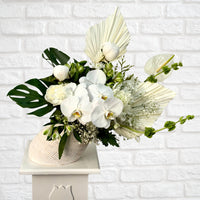White orchid flower arrangement in angled white vase – Oopsy Daisy Flowers