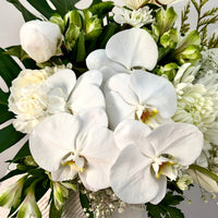 White orchid flower arrangement in angled white vase – Oopsy Daisy Flowers