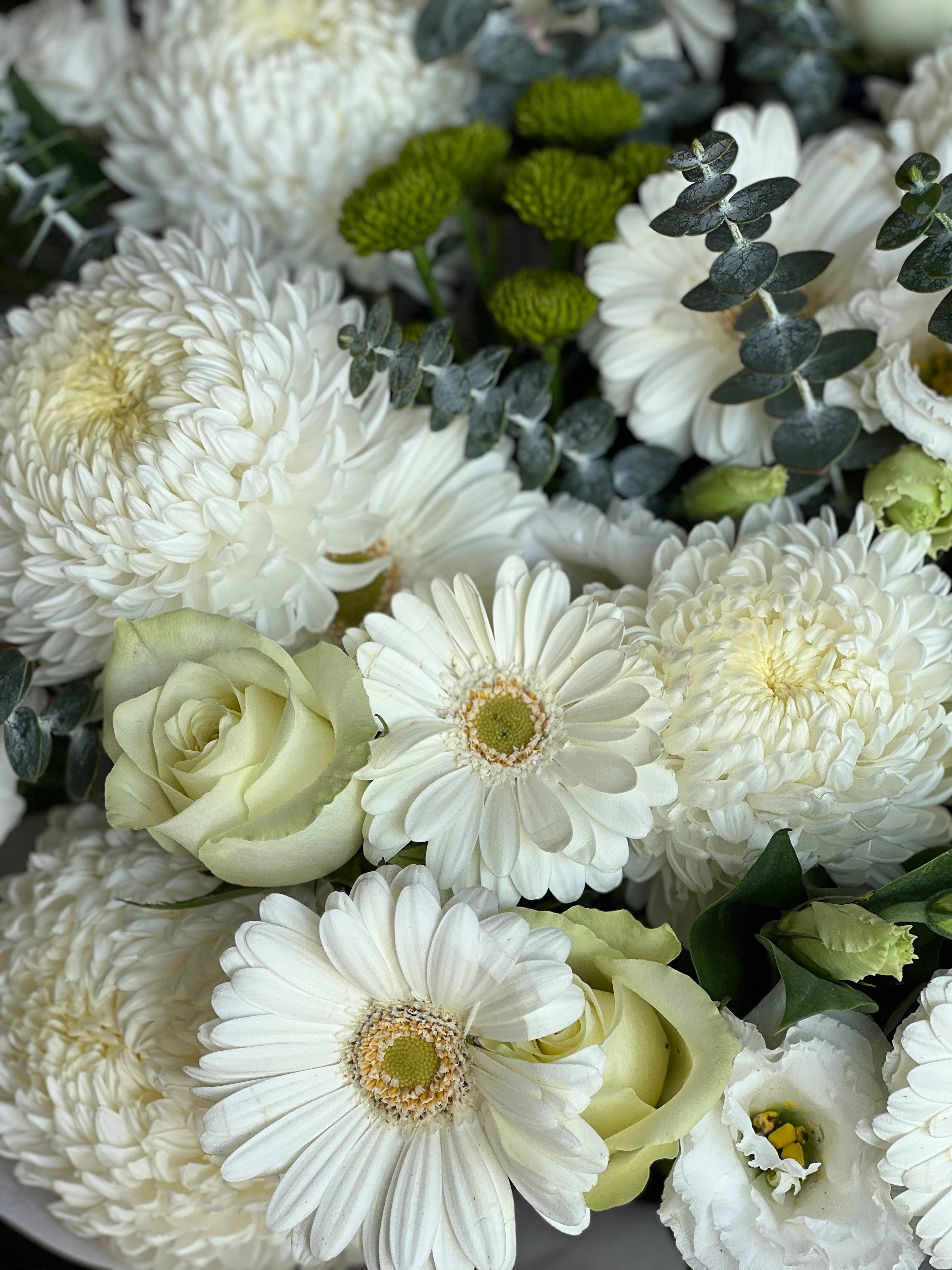 White Button Pom Flower