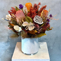 Preserved Flowers - Banksia Beauty