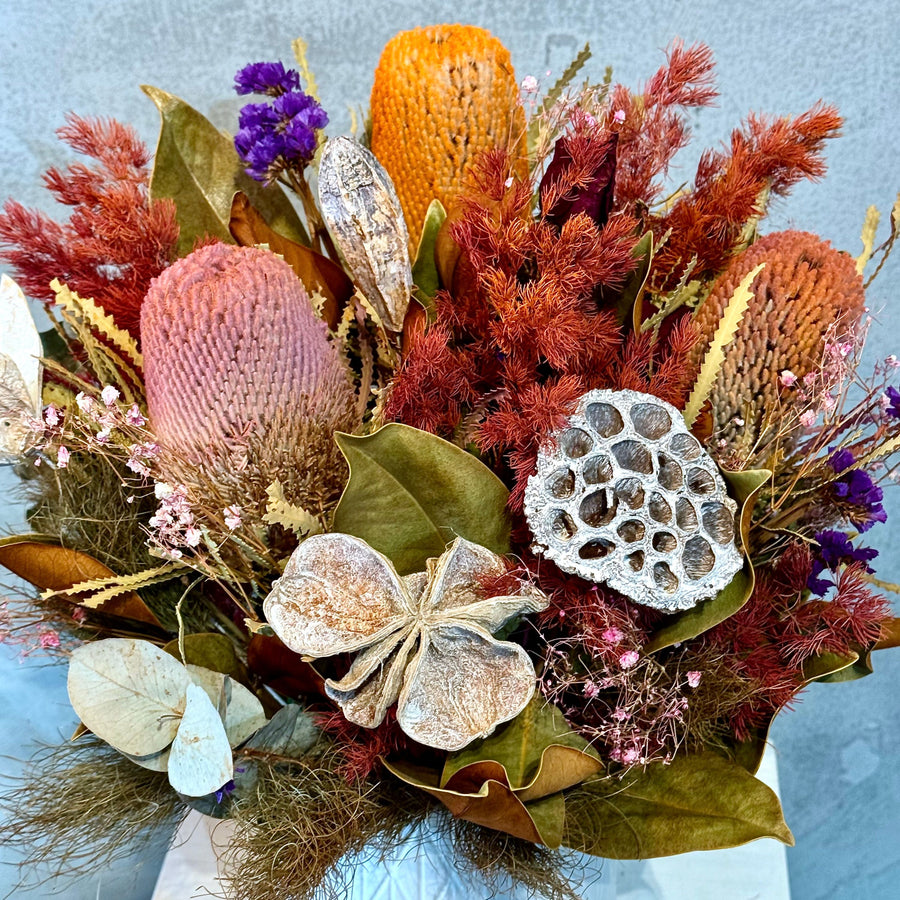 Preserved Flowers - Banksia Beauty