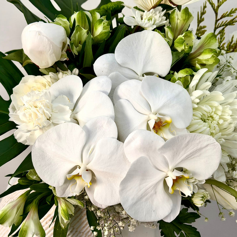 White orchid flower arrangement in angled white vase – Oopsy Daisy Flowers
