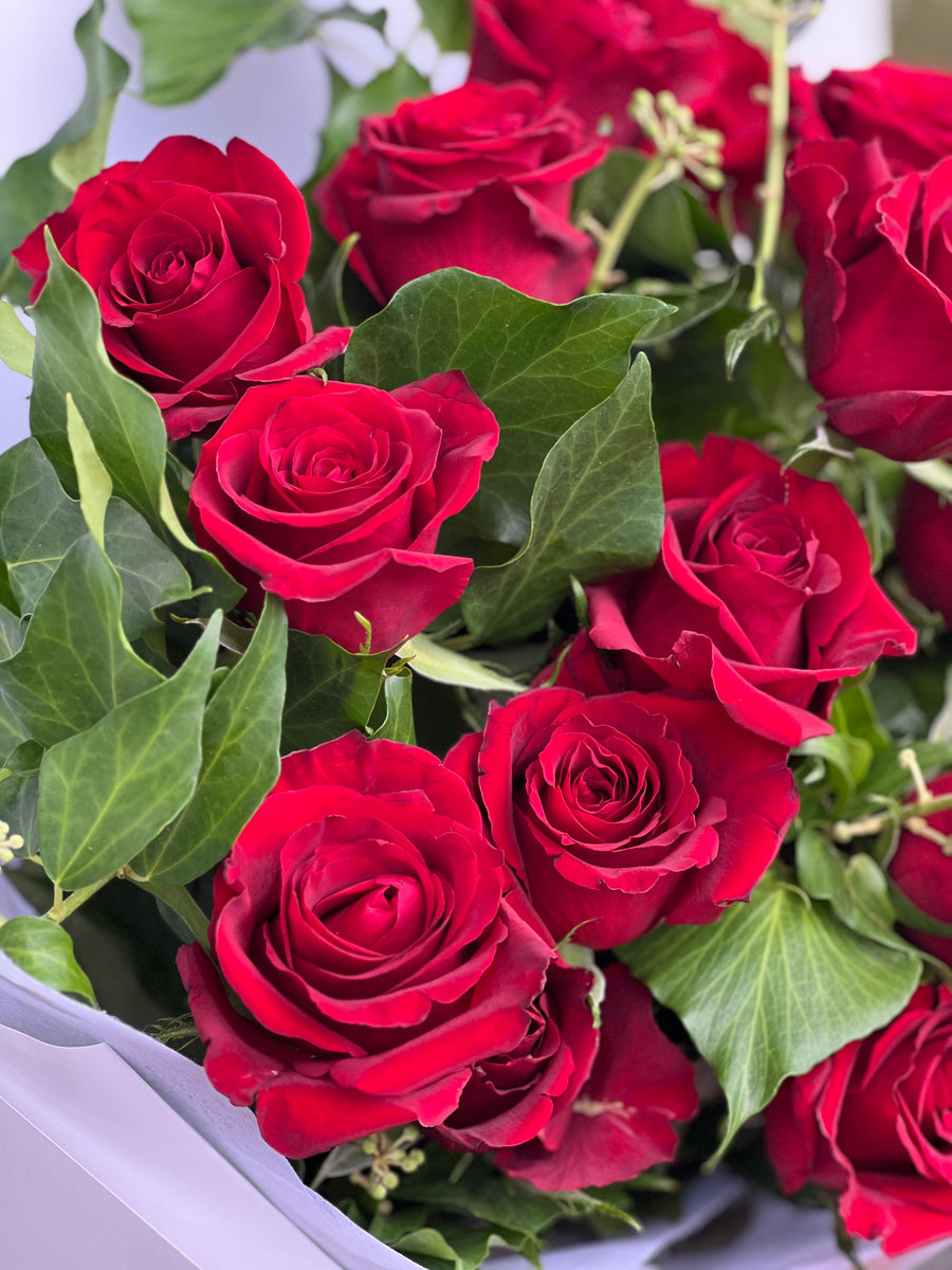 70 Red Roses 6, 12, 24, 36 red roses bouquet Roses Are Red Bouquet - 6 Stem of Roses