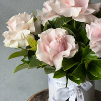 light pink roses