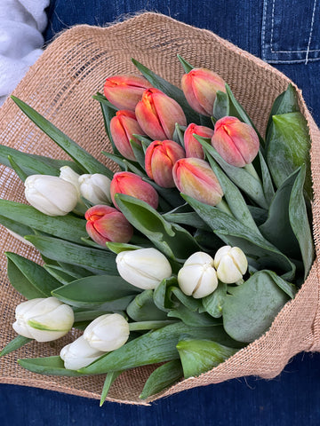 sweet-tulips-bouquet